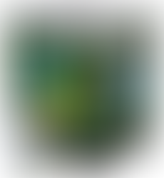 A Hydralife Solutions bucket containing hundreds of gallons of concentrated beneficial phytoplankton to innoculate your lake and consume phosphate to naturally impede the growth of toxic algae.