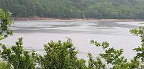 20190609_150017.jpg