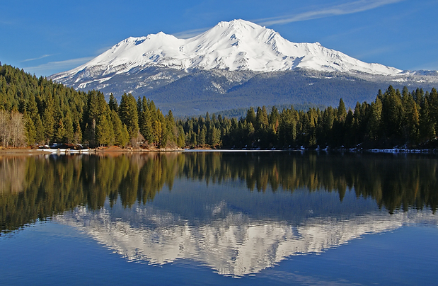 Screenshot 2023-03-19 at 6.53.41 PM.png