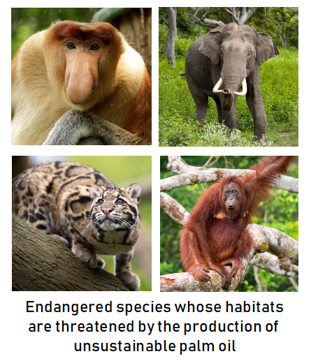 Endangered species with habitats threatened by unsustainable palm oil