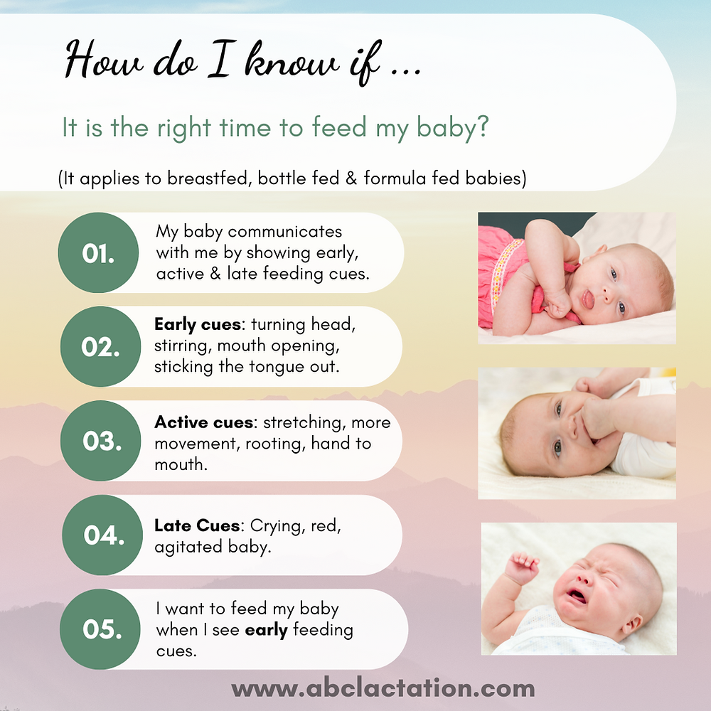 How do I know if It is the right time to feed my baby?