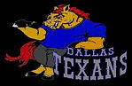 Texans Black.jpg