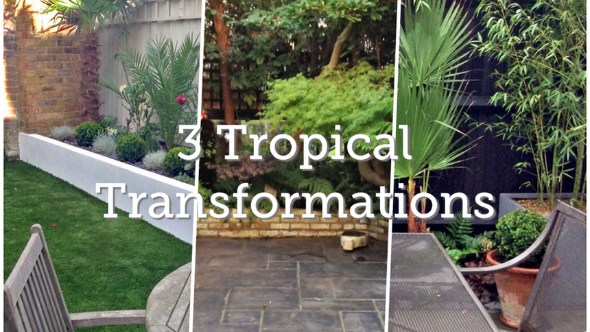 Garden Transformations: Small, Exotic & Tropical Gardens