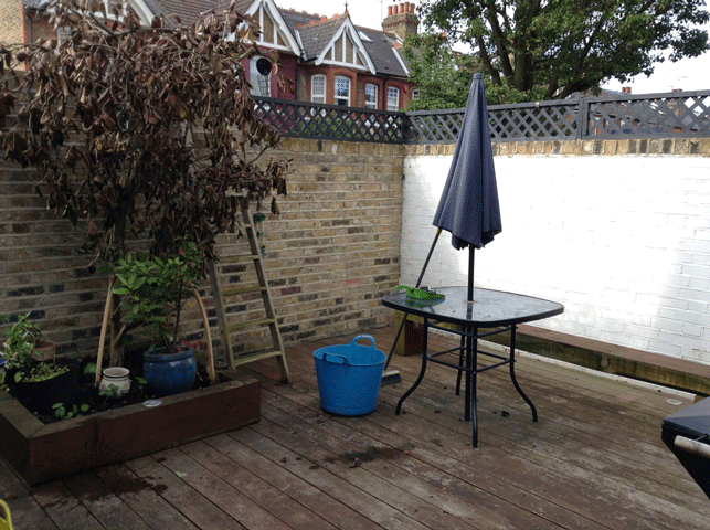 The Distinctive Gardener | Trent Avenue Before
