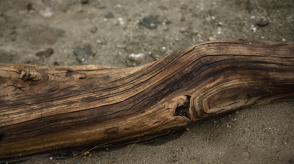 The Perfect Canvas: Carving the River-Cured Texture of Inland Cedar