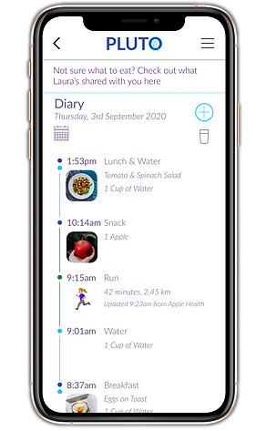 2nd Iteration Diary.png