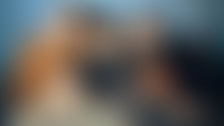 santos bravos schedule in south korea april 2026 and group bio