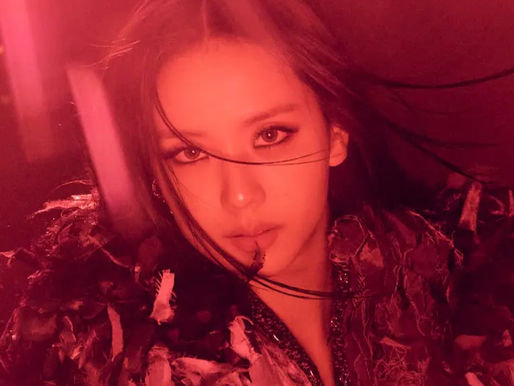 jisoo visualizer deadline tour 2026