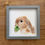 Thumbnail: Lop Eared Bunny Framed Print