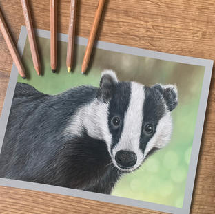 'Oh Badger' 8x10''
£180