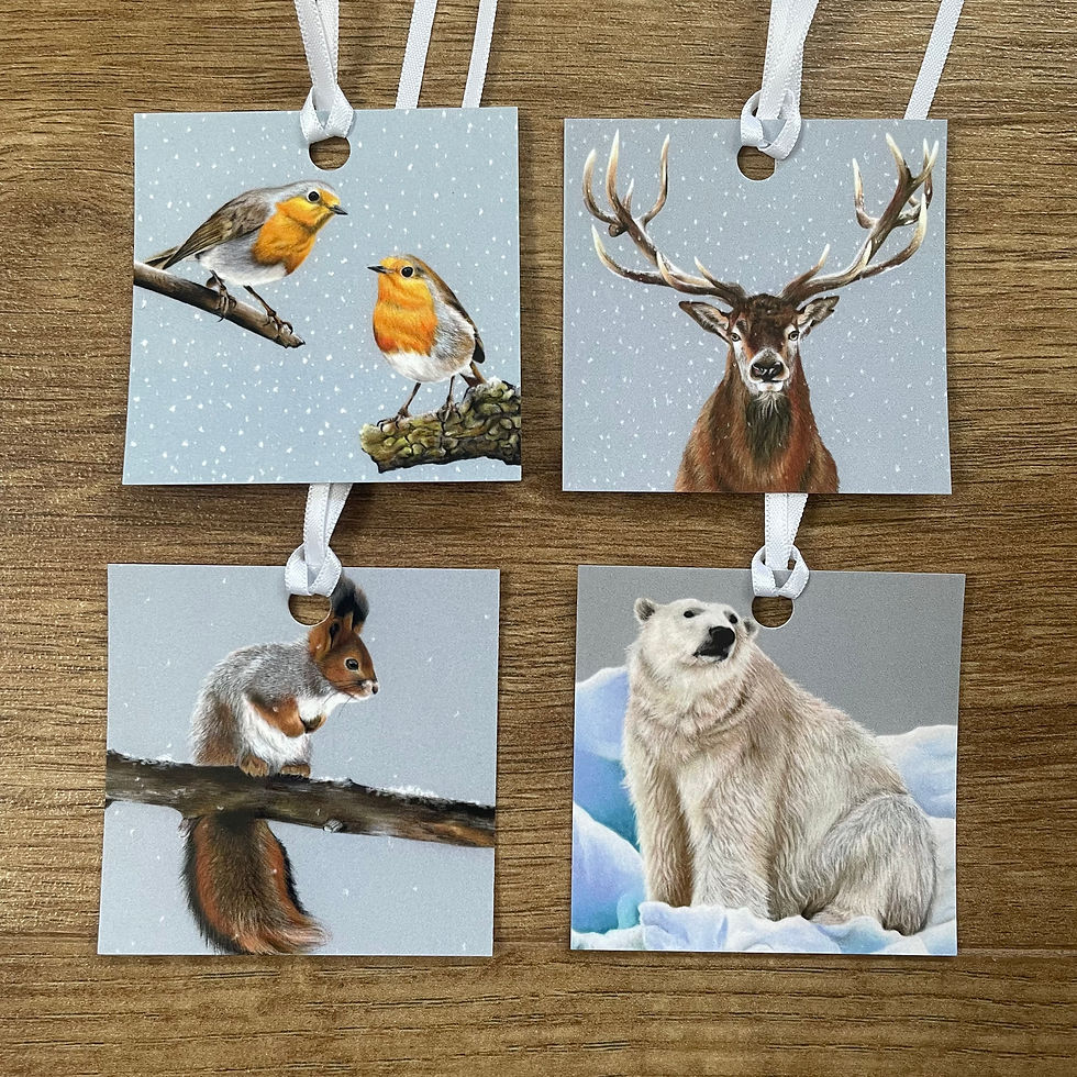 Pack of 4 Gift Tags