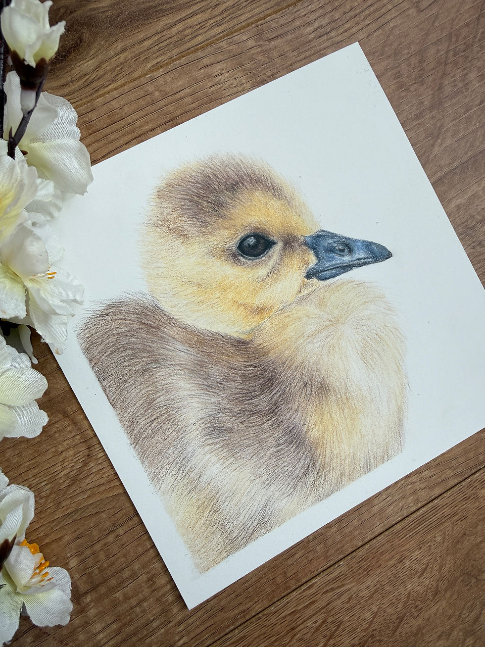 Thumbnail: Duckling Original Artwork