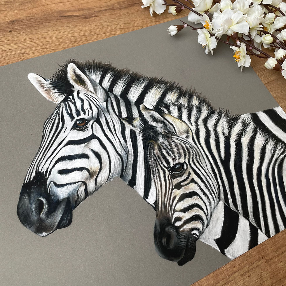 Thumbnail: Zebra Art Print
