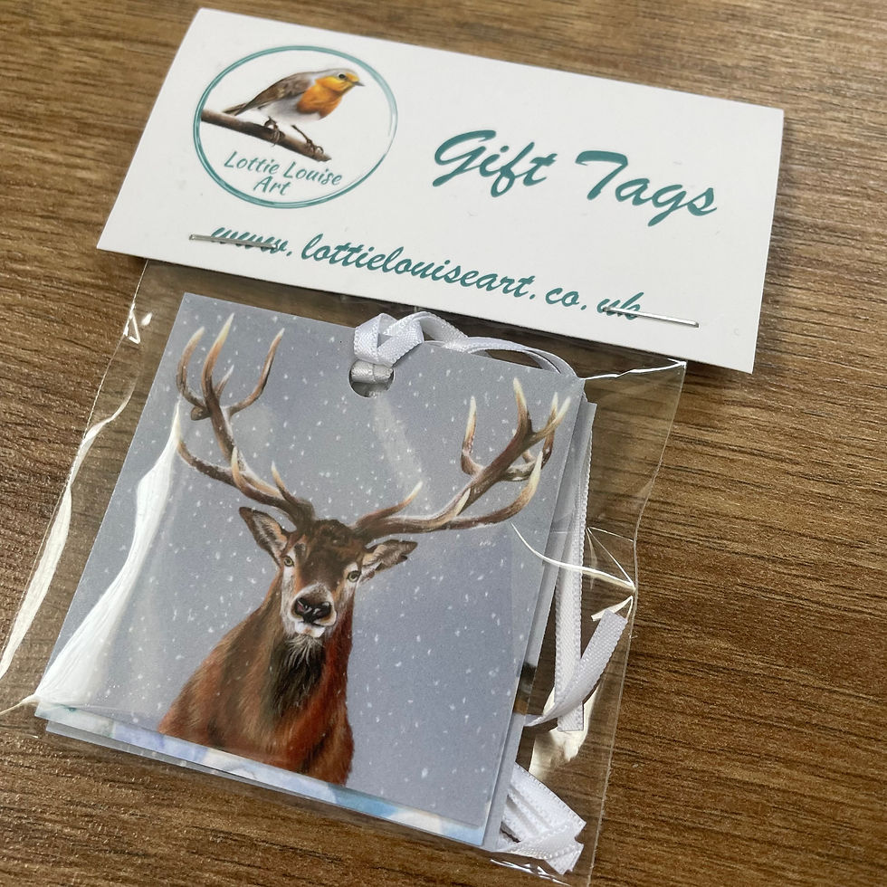 Thumbnail: Pack of 4 Gift Tags