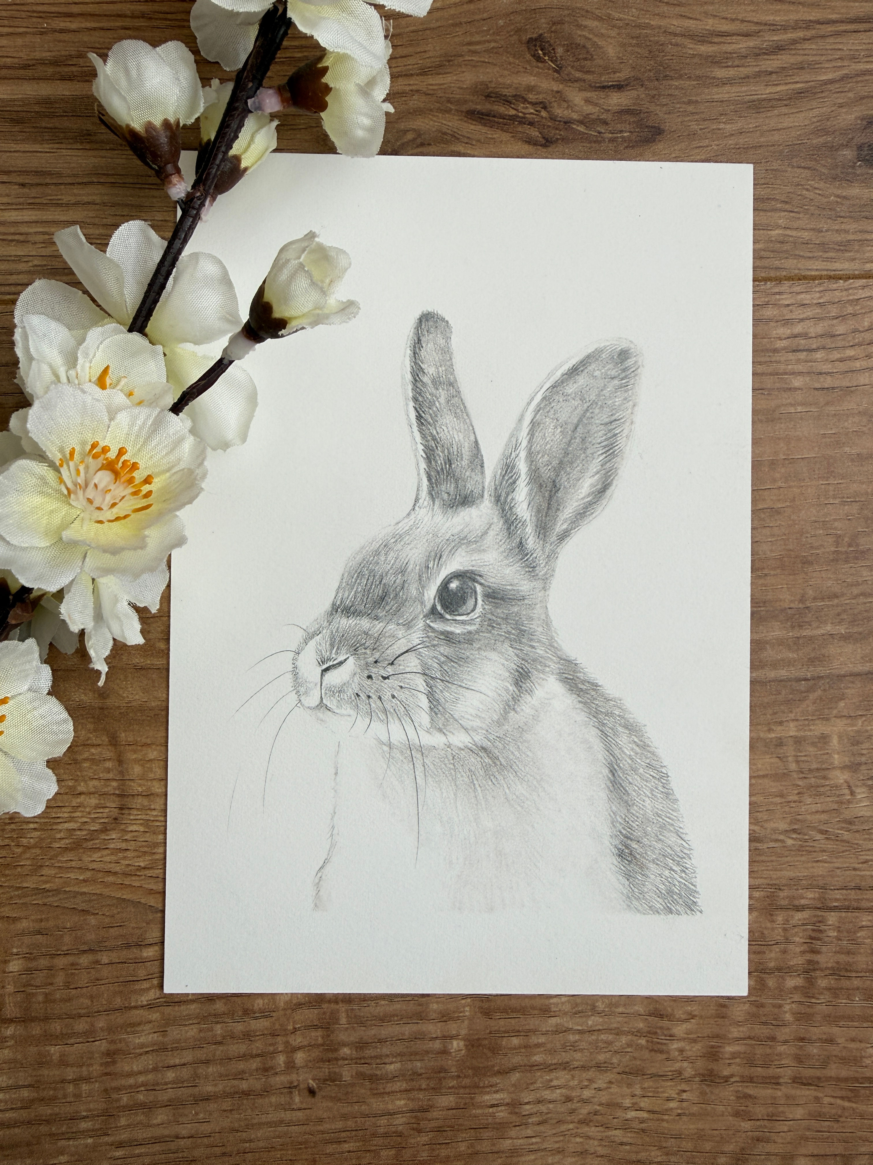 Bunny Rabbit Original Artwork