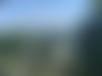 Fermentation in the Mountains of Asheville, NC