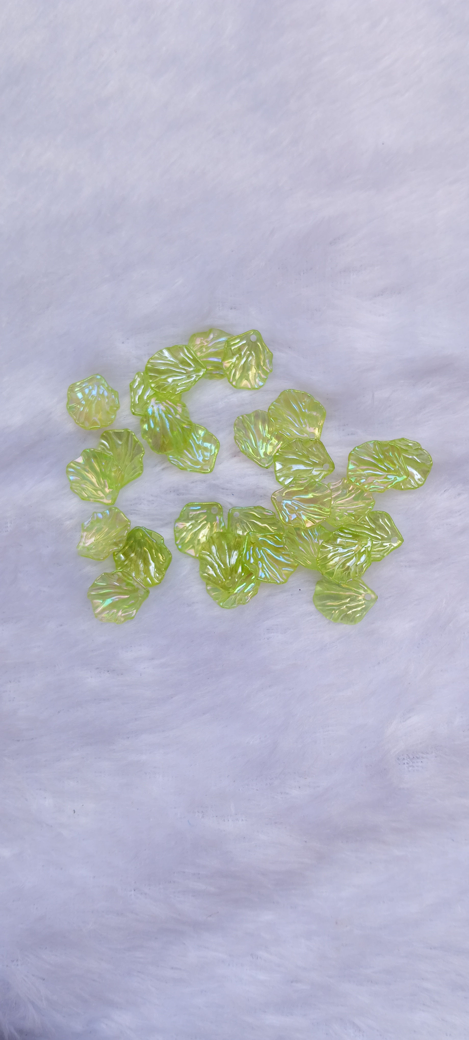 Glossy acrylic small shells-10gm