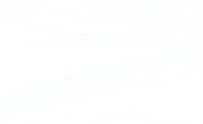 garis CSCR horizontal b_edited_edited_edited.png