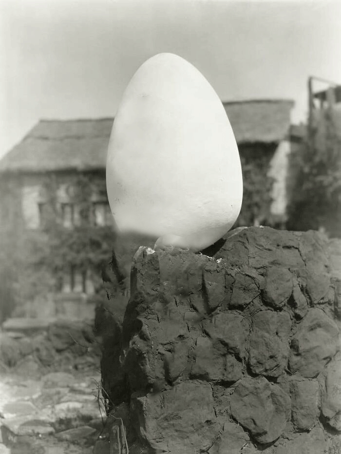 egg-woman GIF.gif