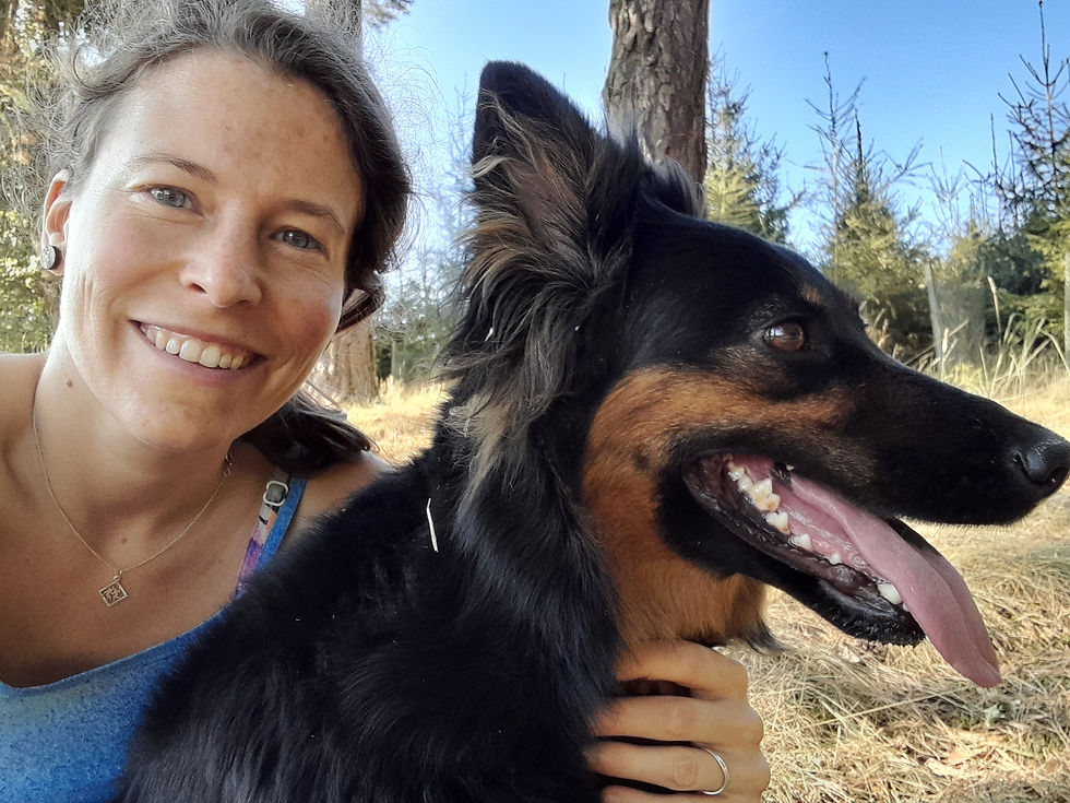 Psí procházky každý den