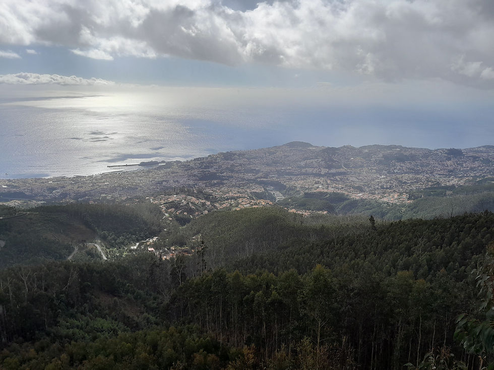 Výhled na hlavní město Funchal
