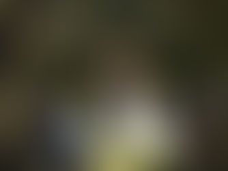 A Vibrant Garden Wedding for Caelia & Rhys at The Homestead, Berry