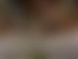 A Bookish Dream at Bendooley Estate | Lucy & Bernie