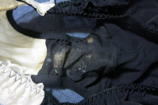 Thumbnail: mari-C002