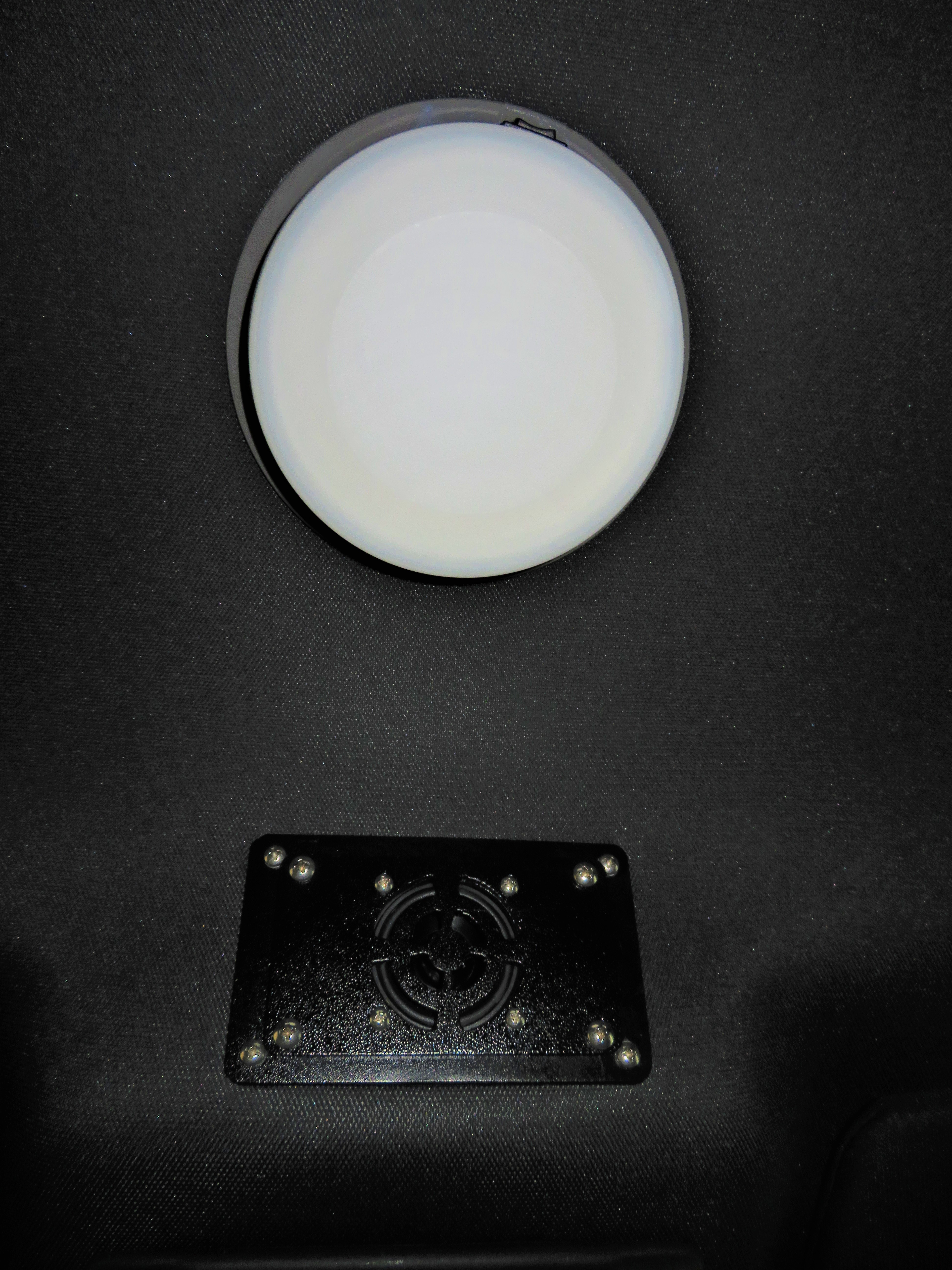 Dome Light and Speaker