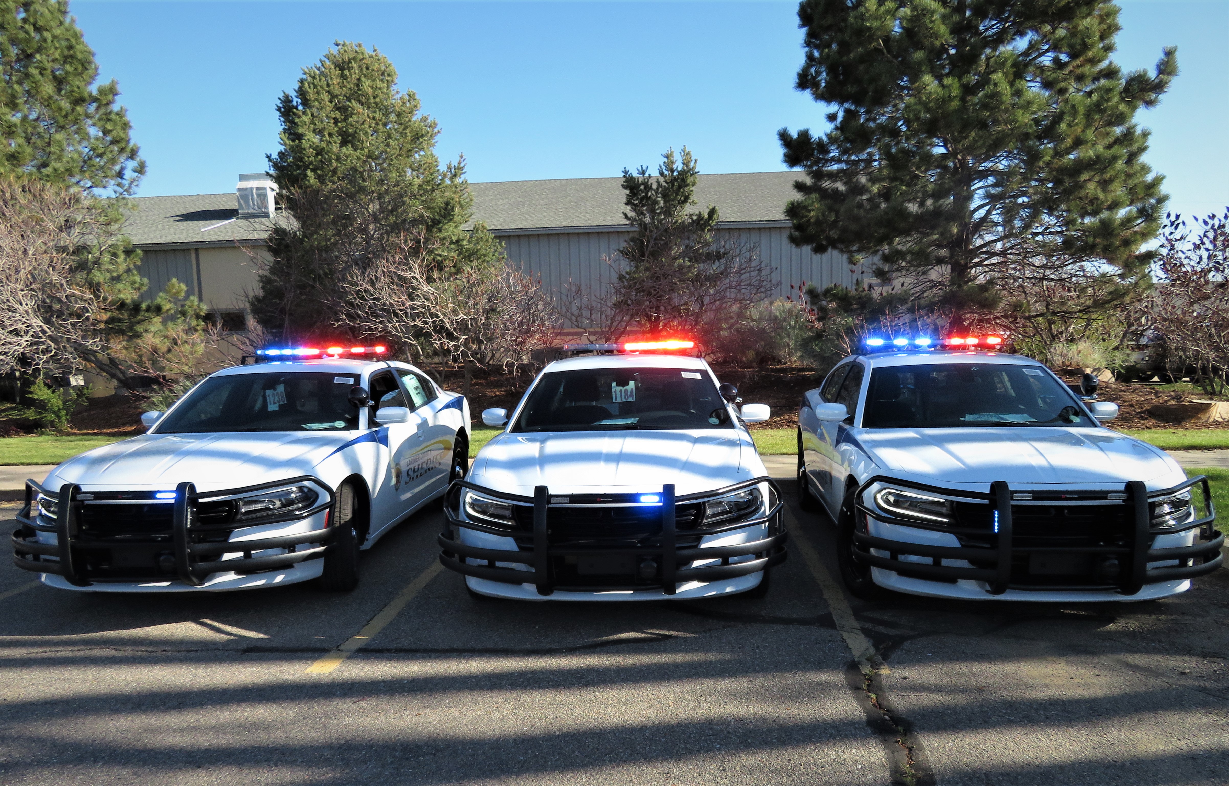 LCSO 2019 Dodge Chargers