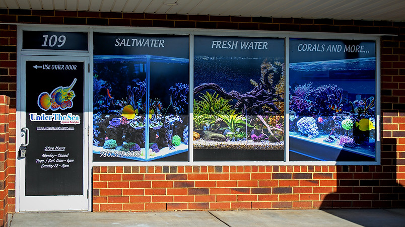 Store_Front_edited.jpg