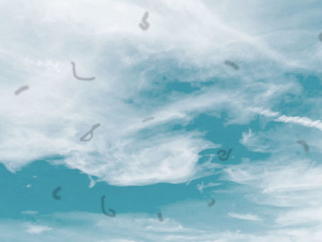 Moscas volantes podem ser um sinal de descolamento de retina