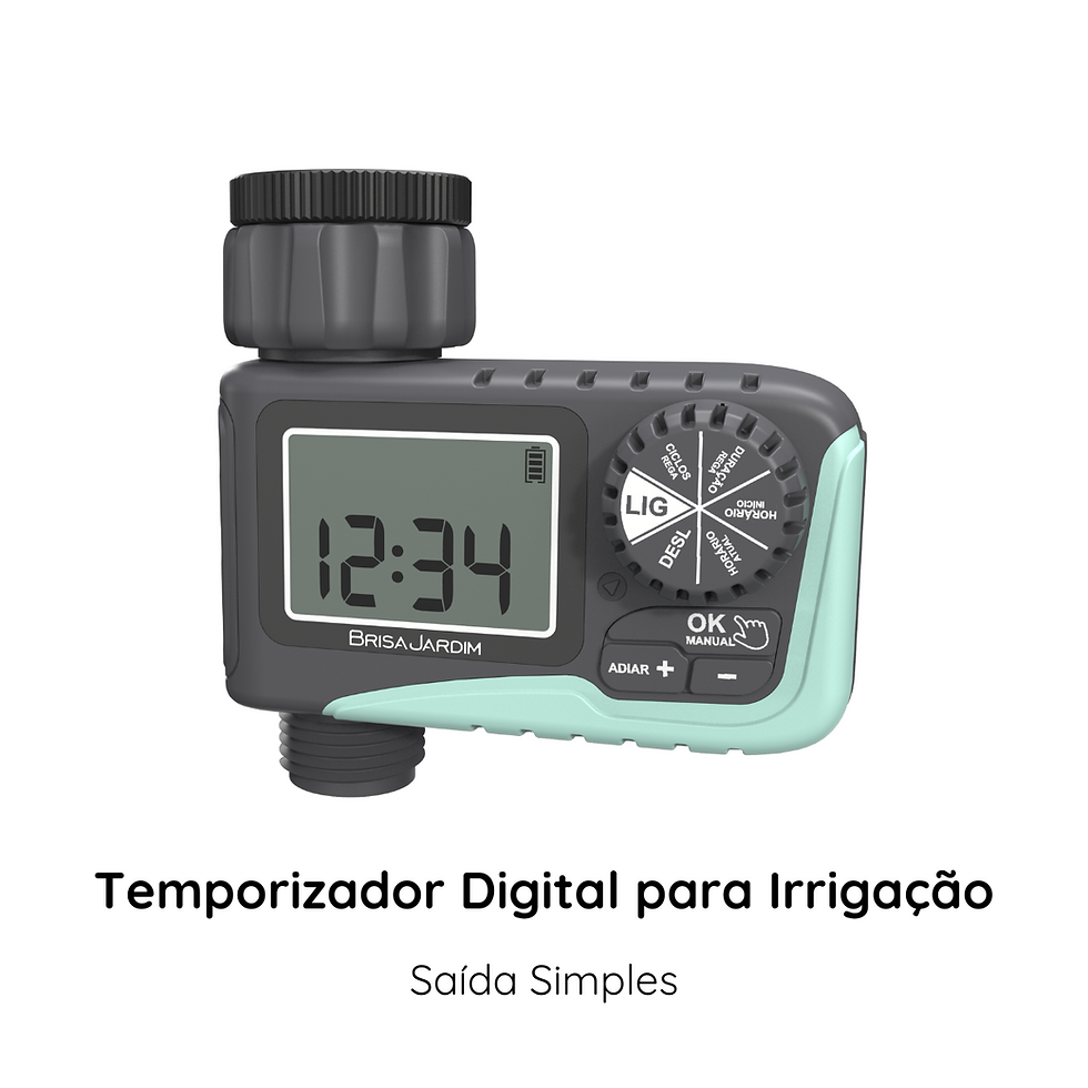 Inicial Brisa tie11v2