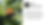 Banner_KIG14 (6).png