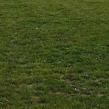 526605287_1272673157986082_5162064656940533807_n_edited.jpg