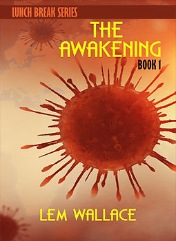 wix_cover_book1.jpg