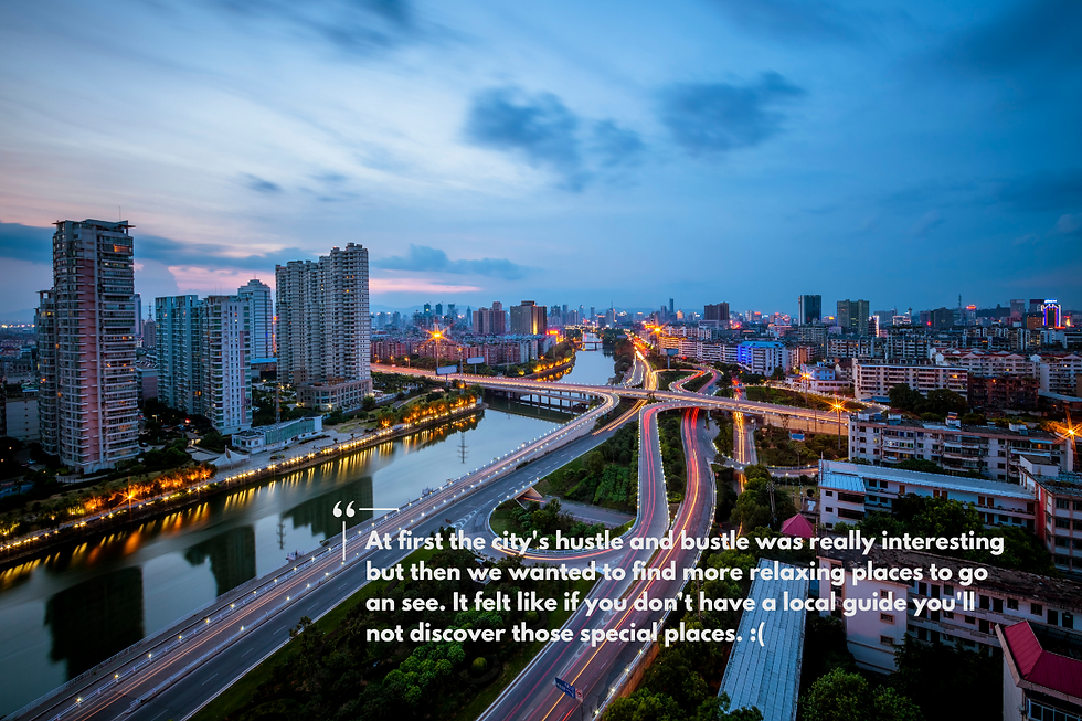 Panoramic view of megacity with high traffic flashing lights and sunset