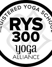 RYS 300-AROUND-BLACK.jpg