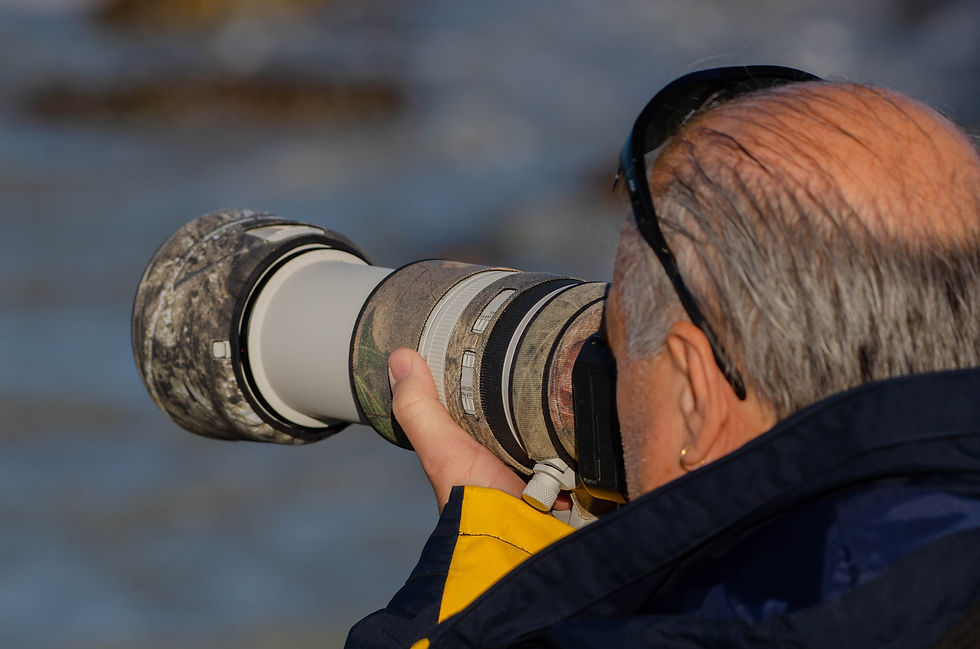 Homem fotografando a natureza