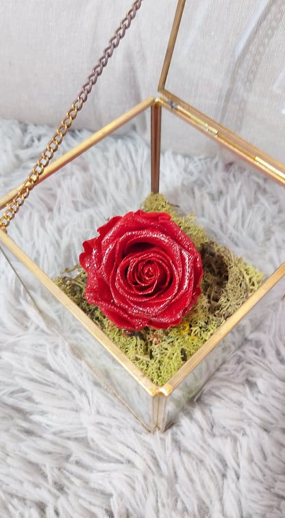 Miniature : L'ECRIN TRESOR (Cubique)