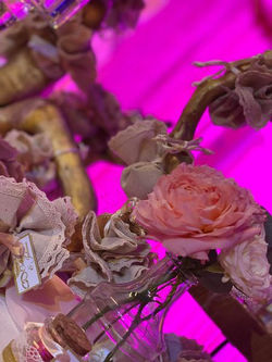 289218610_5236845223038560_8371163195185413199_n