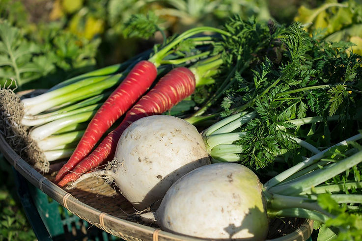 52606050_2086152531491632_39146858235507