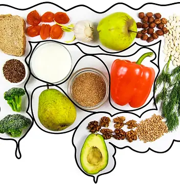 nutrition for gastro health.webp