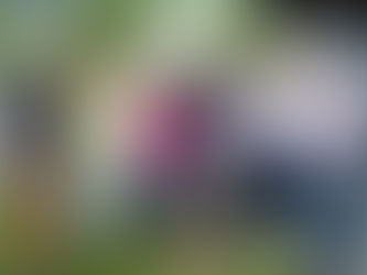 Avante anuncia apoio a Túlio Gadêlha para o Senado