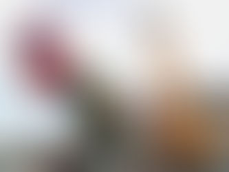 Galo gigante começa a ser desmontado no centro do Recife neste domingo (22)