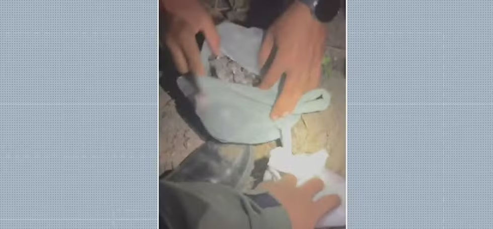 Arma e drogas são encontradas enterradas no bairro de Barra de Jangada