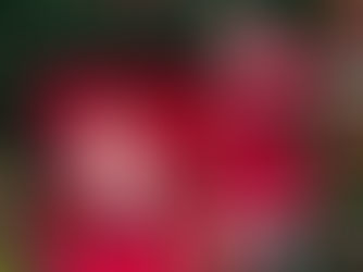 Sessão Azul no Natal do Shopping Guararapes garante momento especial para crianças com TEA