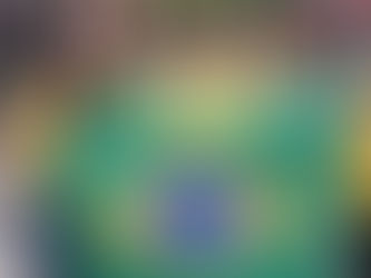 Junto à lideranças do PP, Clarissa Tércio marca presença em ato pela democracia