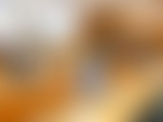 Senar Pernambuco participa de capacitação nacional para a 6ª edição do CNA Jovem