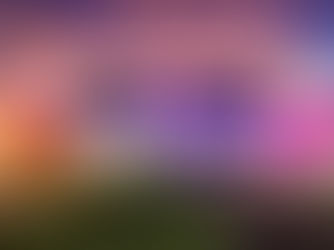 Etiqueta Roxa movimenta o Shopping Guararapes com descontos especiais de 8 a 11 de janeiro